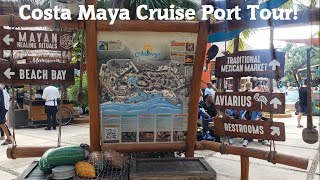 Costa Maya Mexico Cruise Port Tour / Walkthrough - December 2022! by Earthling1984 4,397 views 1 year ago 8 minutes, 17 seconds