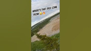 Where did that tree come from 😂 #tree #fpv #drone #fail #funny #crash #trending #viral #reels #fyp