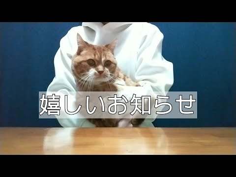 嬉しいお知らせと雑談◇れもんの紹介もありますฅ(^^ฅ)