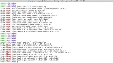 How to check recently installed/upgraded packages in ubuntu operating system