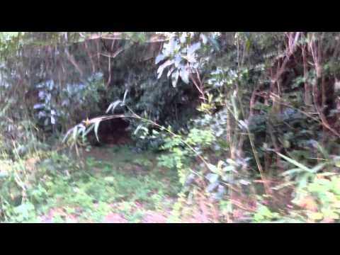 [Organ Life] Gongenyama Kofun (ancient burial mound), Ishimaki Honmachi, Bessho, Kita-Irida, Toyo...