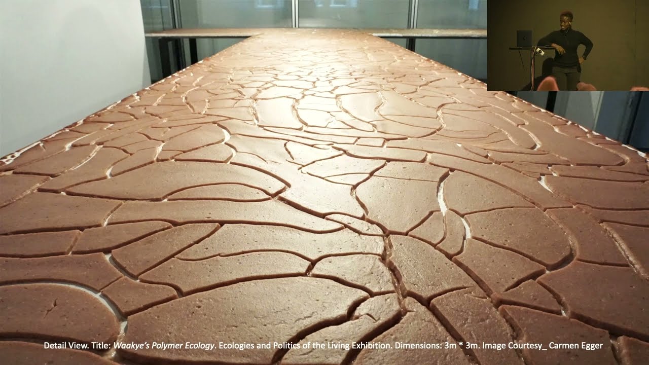 Symposium Humans, fungi, rottenness, and the future of soil: Tracy Thompson