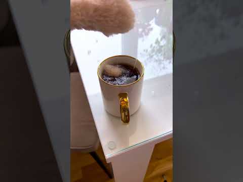 Mood: Angry But Cute 😾✨