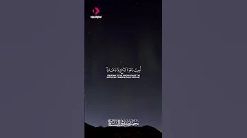 أفضل تلاوات الشيخ المنشاوي Best Recitations Sheikh Minshawi 