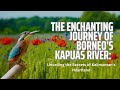 The enchanting journey of kapuas river unveiling the secrets of kalimantans heartland