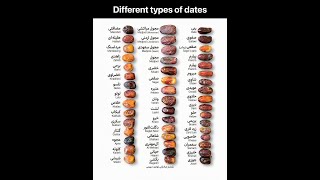 Different Types of Dates Explained | Ajwa, Medjool, Safawi & More | Feroz Explains screenshot 5