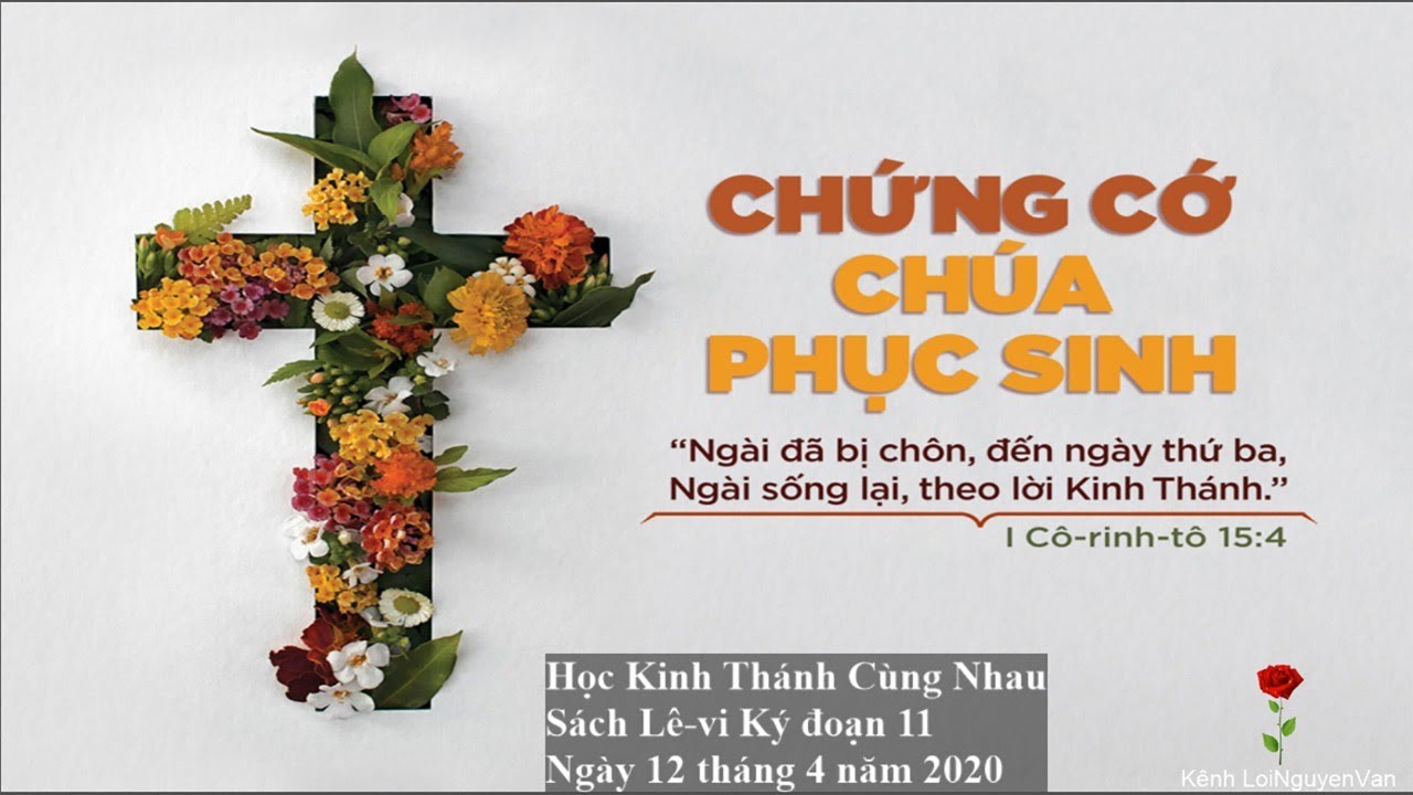 ️🌹Lê-vi ký đoạn 11. Học Kinh Thánh Hàng Ngày - 12 tháng 4 năm 2020. ️🌹 ...