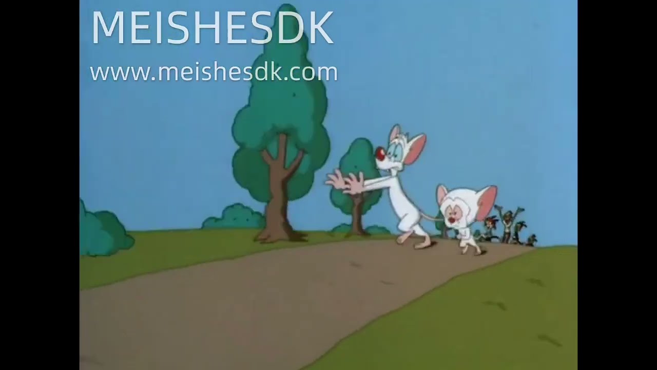 Animaniacs: We're Running from Our Fans