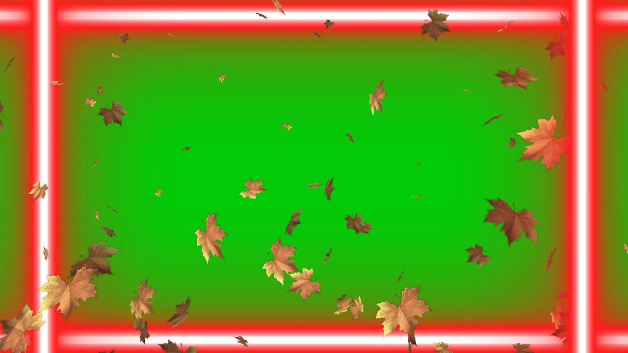 Red Neon Boarder Ligth Flam Effect | Floating Leaf Black Screen Effect | Green Screen Template
