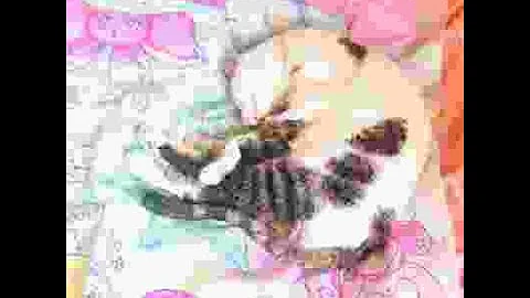 hfkrpohkrdfghklsdjfrhrfhsxgbhswegjwegkjsweglswjhowejigowegjisewjglsejkgswetgjioswioñjwsñh