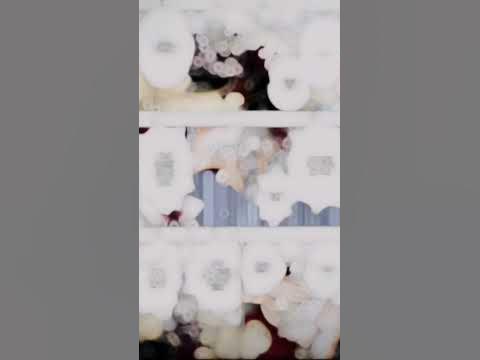Санеми и Генья Шинадзугава - YouTube