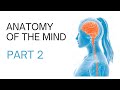Anatomy of the Mind, part 2