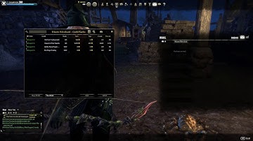 Elder Scrolls Online Weapon Swap Issue