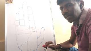 foreign settlement lines in palmistry #palmistry in English screenshot 4