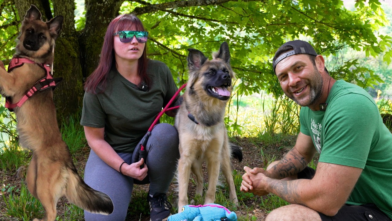 Beautiful updates on Nola, one of the most scared and traumatized dogs we’ve ever taken in