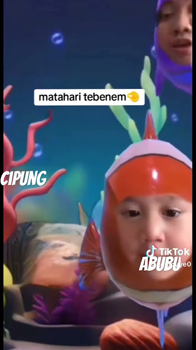 cipung nyanyi matahari terbenam #viral #funny #shorts #rayyanza #cipungupdate
