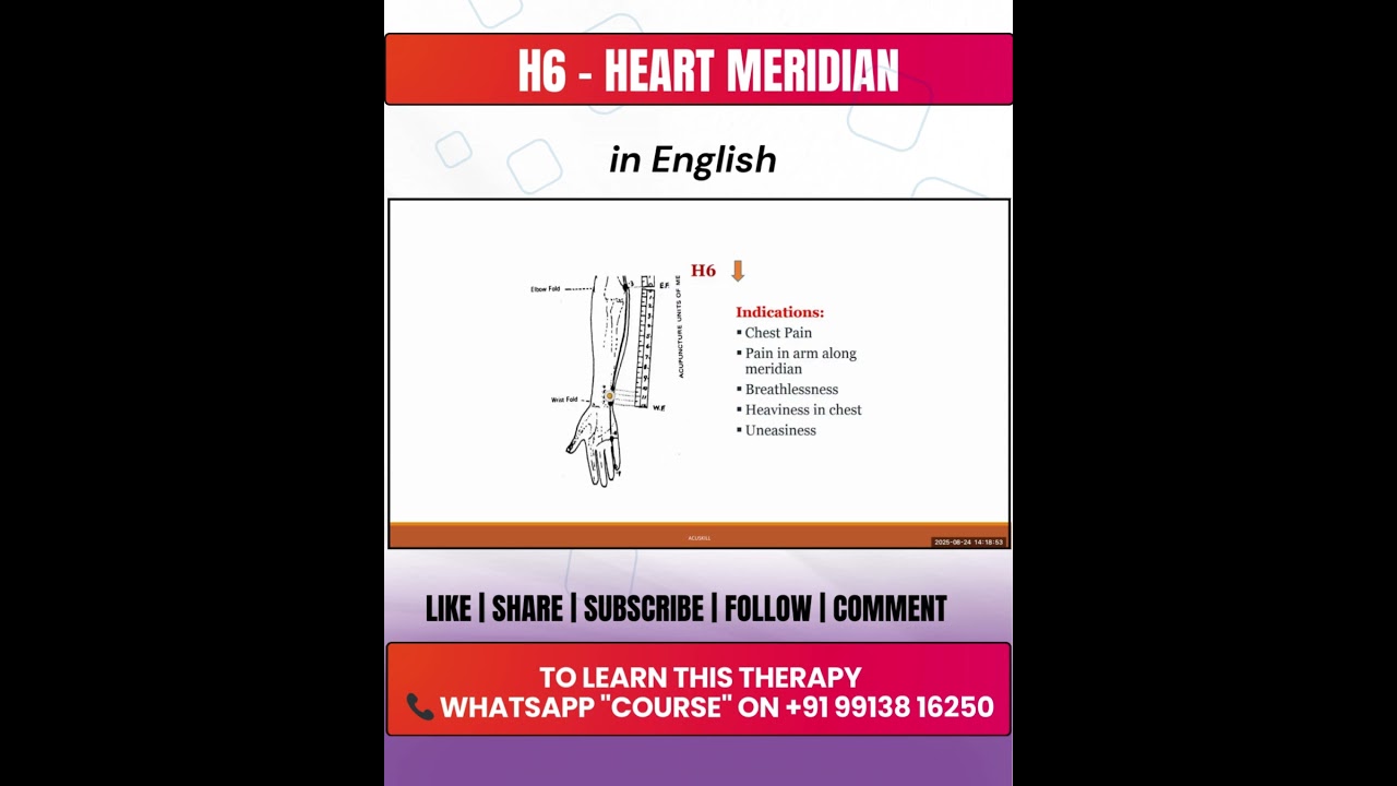 H6 - Heart Meridian I IN English