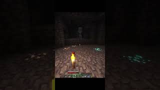 Don't mind me #minecraft #minecraftgameplay #minecraftletsplay #skeleton #diamonds