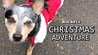 Twinkling Tales with Rocket: Christmas Parade Adventure by FindRocket 268 views 4 years ago 5 minutes, 9 seconds