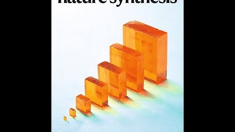 Growing High-Quality Perovskite Single Crystals: Flux-Regulated Crystallization with Feedback Loop
