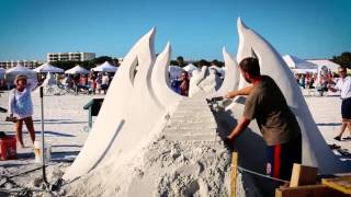 A day on Siesta Key Beach