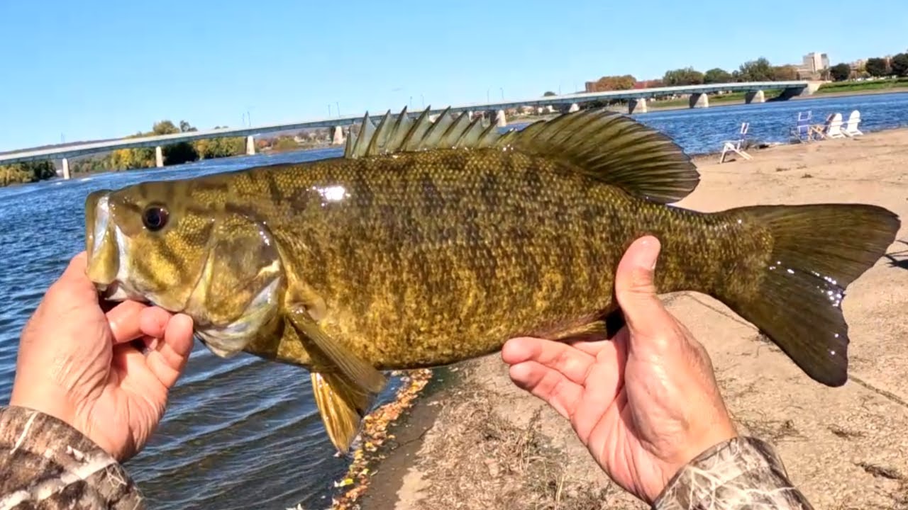 Urban Fishing A Cement Beach Loaded With Big Smallmouth Bass.