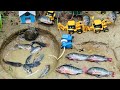 catch fish using mini powerful diesel engine water pump for fish in pond 🐟 science project‪