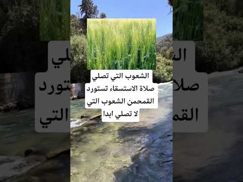 الشعوب التي تصلي صلاة الاستسقاء اكسبلور الله لايك 100 اقنباسات معلومات ترند