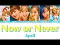 カナルビ　【 Now or Never 】 April 韓国語歌詞 &amp; 日本語字幕