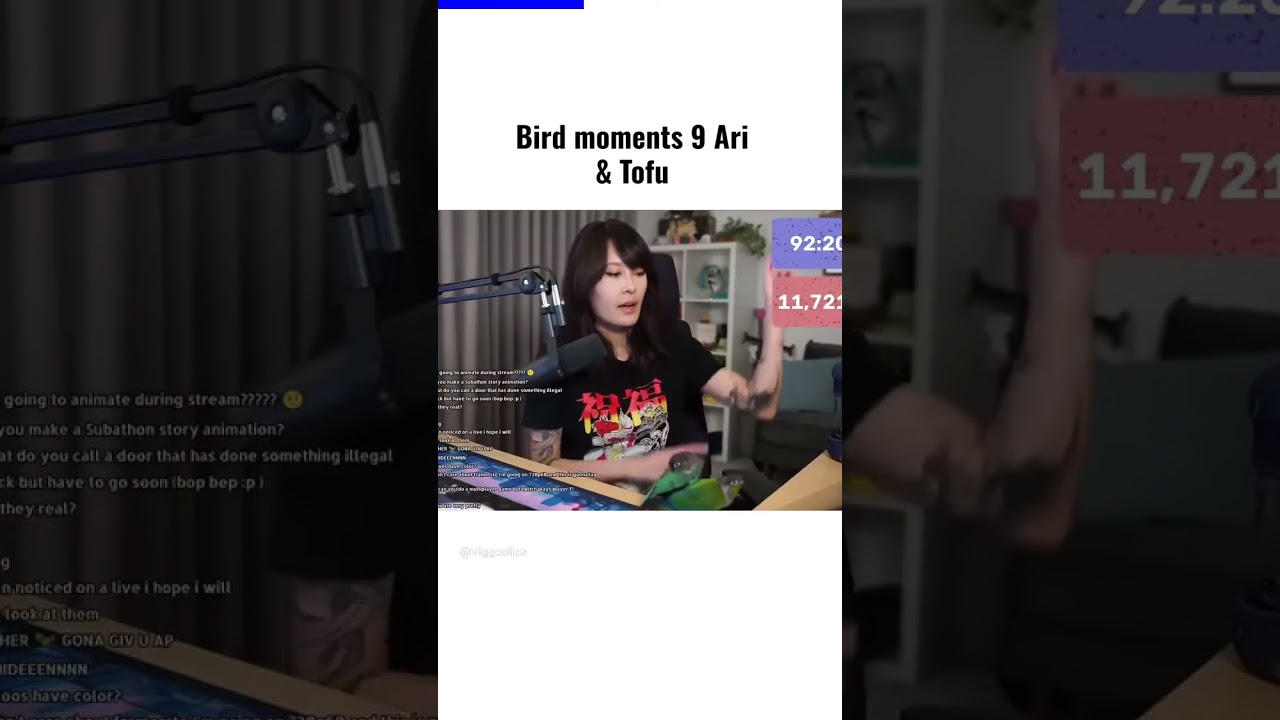 Jaiden Animation bird bondning
