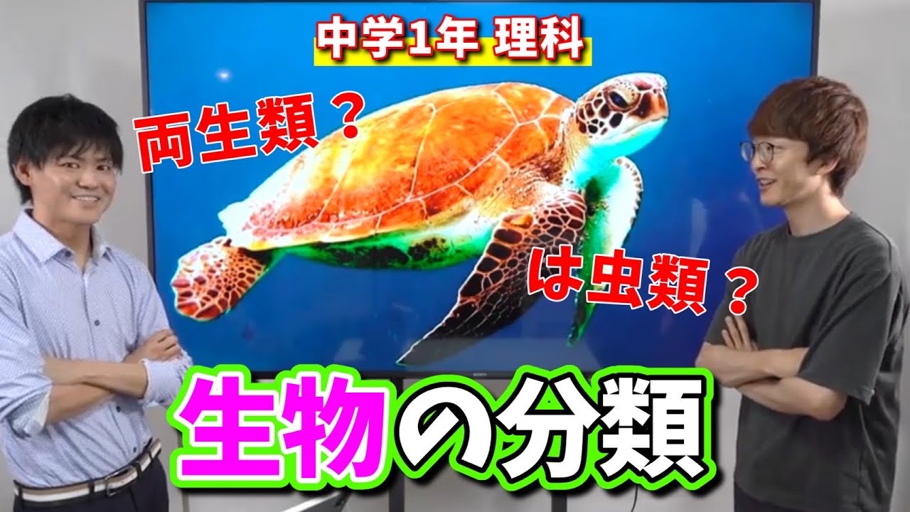 【中1理科】生物の分類