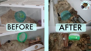 Enrichment For Gerbils | Before & After