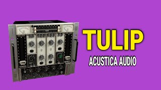 THIS IS CRAZY !!!... Acustica Audio⎮TULIP