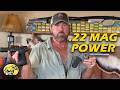 The Power and Potential of the .22 Magnum Cartridge
