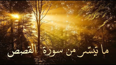 ما تيسر من سورة القصص من صلاة التراويح