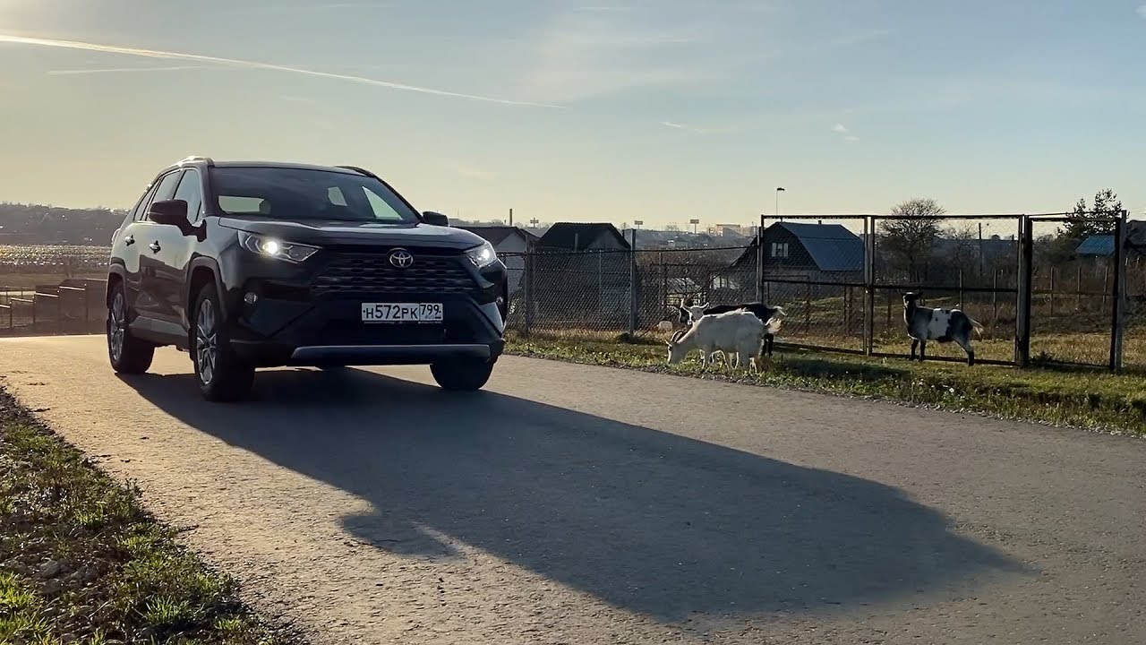 Почему рав. Kia Sportage drive2. Спортейдж 2021 серебристый на природе. Киа Спортейдж новый на природе. Kia Sportage 4 лифт.