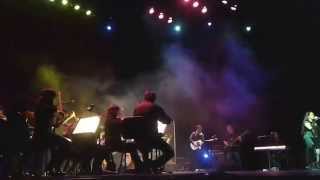 Philharmonic Rock - Bellas Artes CAFAM Julio 18 2014