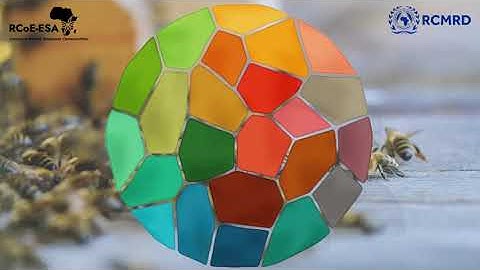 SPATIAL TOOLS FOR PLANNING AND MANAGING AREAS TO REDUCE BIODIVERSITY LOSS ONLINE COURSE