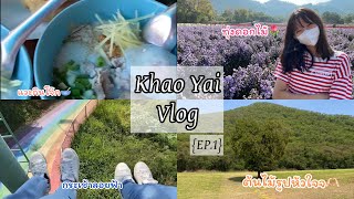 Khao Yai vlog 🏔️ EP.1 แวะกินโจ็ก,ไปทุ่งดอกไม้,ไปนั่งกระเช้าลอยฟ้า,ต้นไม้รูปหัวใจ🫶🏻 ￼| Preempicha