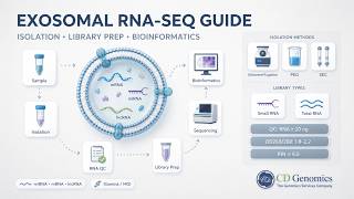 Exosomal RNA-Seq Guide: Isolation, Library Prep & Bioinformatics 🧬