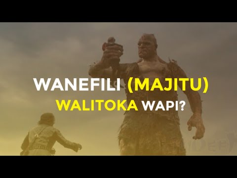 WANEFILI MAJITU WALIKUWA NI WATU GANI KATIKA BIBLIA