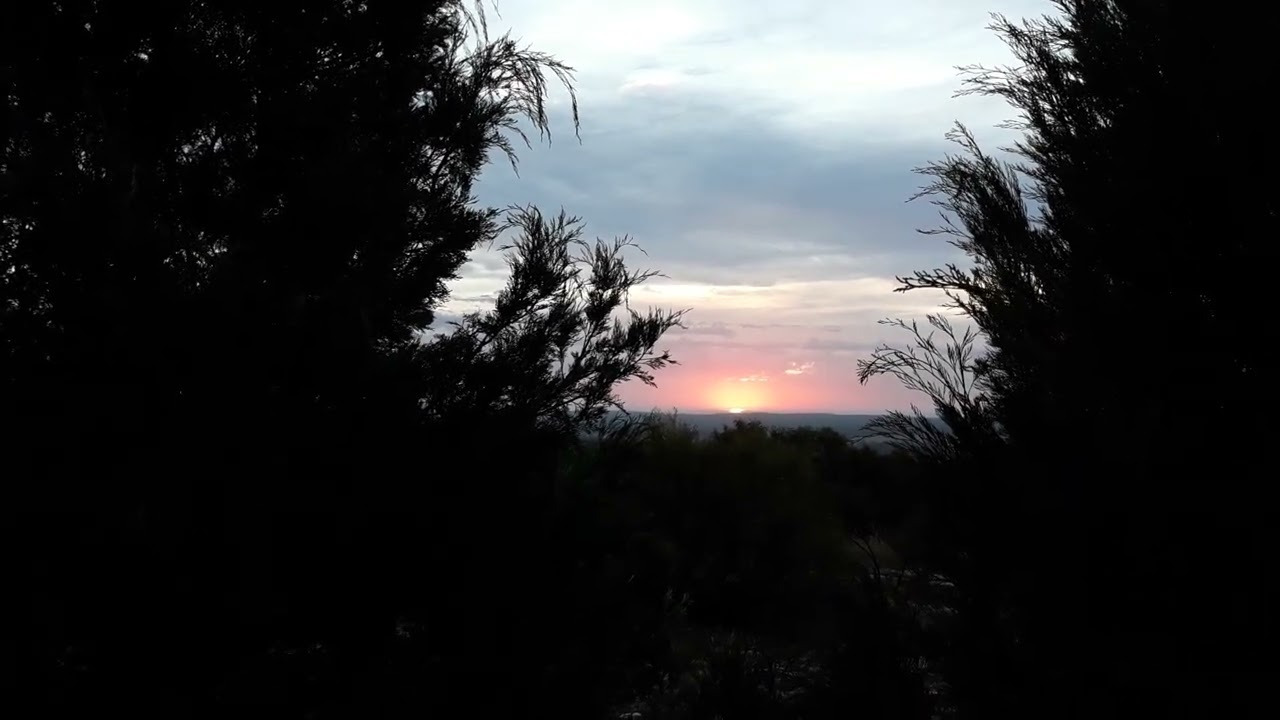 Short guided meditation in nature 20240401