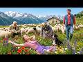 Swiss Mountain Shepherd Life — Traditional Alpine Farm Day | Village ASMR