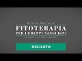 Fitoterapia per i gruppi sanguigni  meliloto