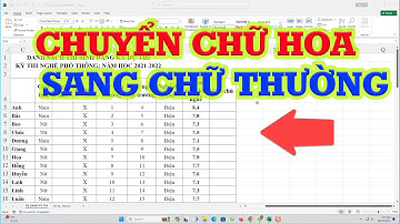 Mẹo chuyển chữ HOA sang chữ thường trong Excel siêu nhanh