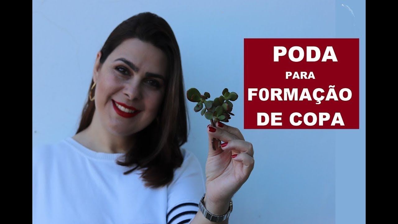 Poda para formação de copa da magnífica Crassula ovata Jade
