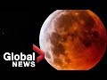 'Super Blood Wolf Moon' lunar eclipse