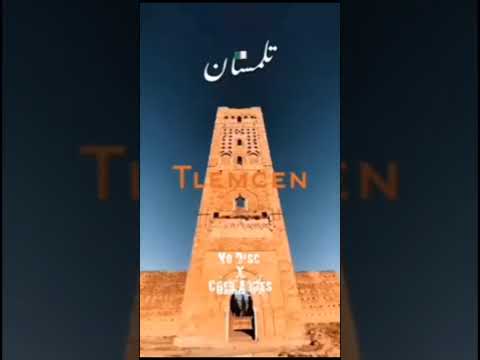 No Disc Cheb Arres Teyara Foug S7ab Remix X Mehar Kaur 2025 