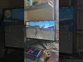 Free fire shorts video on PC 😎 playing on PC gameplay #shorts #shortvideo #freefiregarenafreefire