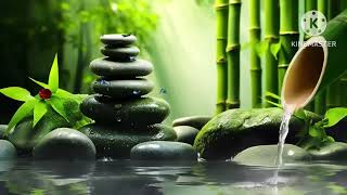 5Min Relaxing Sleep Music + Insomnia  Bamboo, Stress Relief, Deep Sleep, Relax & Therapy Music